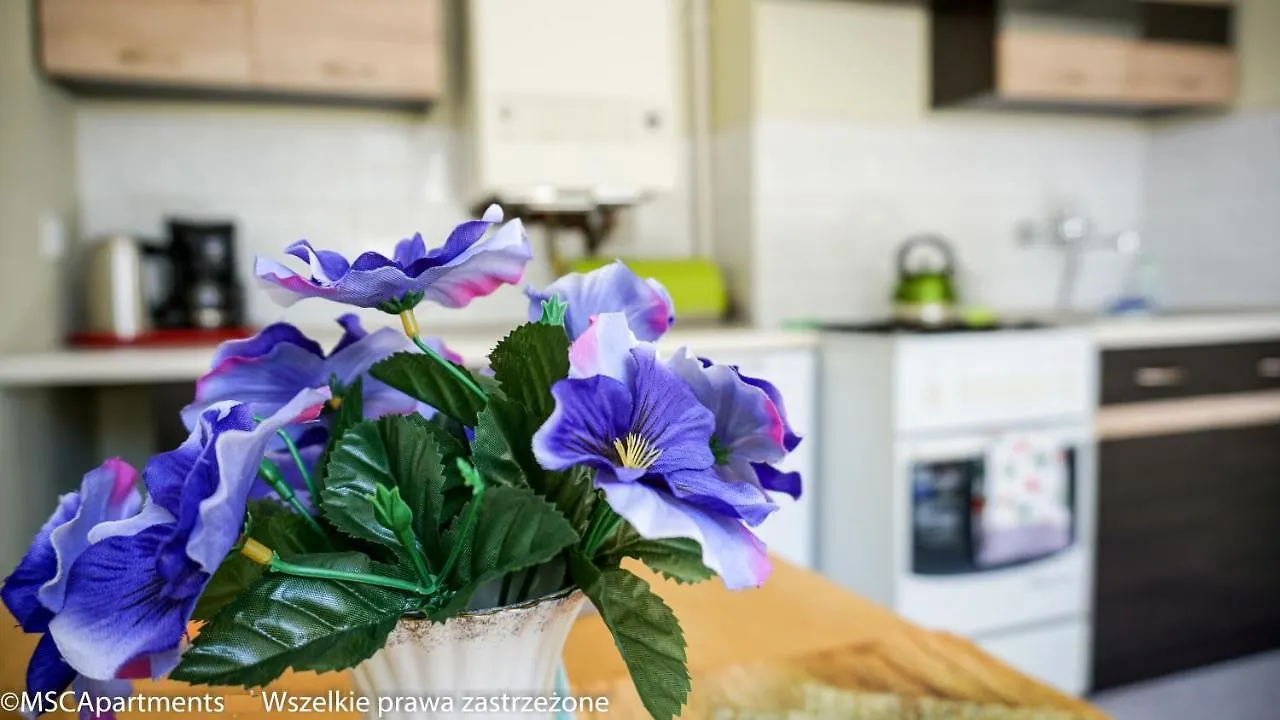 Msc Apartments Zakopane Centrum Pod Smrekami 0*,  Poland
